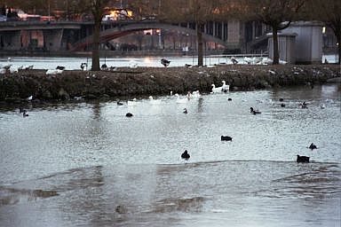 canal de jonction Ecluse  Devant-le-Pont / Vis