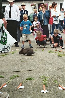 le jeu du lapin