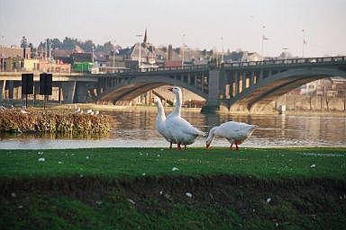 Le quai du halage  Devant-le-Pont / Vis le pont Roi Baudouin