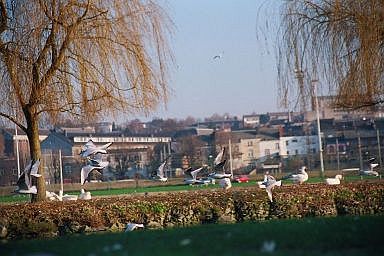 Le quai du halage  Devant-le-Pont / Vis